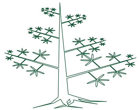 White ceiba pentandra kapok tree silhouette with green outline isolated on transparent background, simple nature icon vector