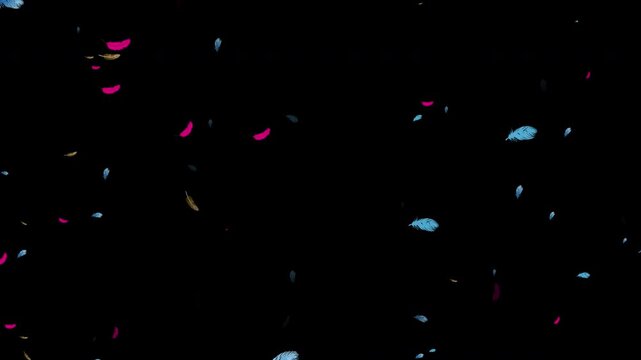 Feather video keying material with alpha channel, suitable for film and television post production, VJ performances, stage backgrounds, and visual creation.