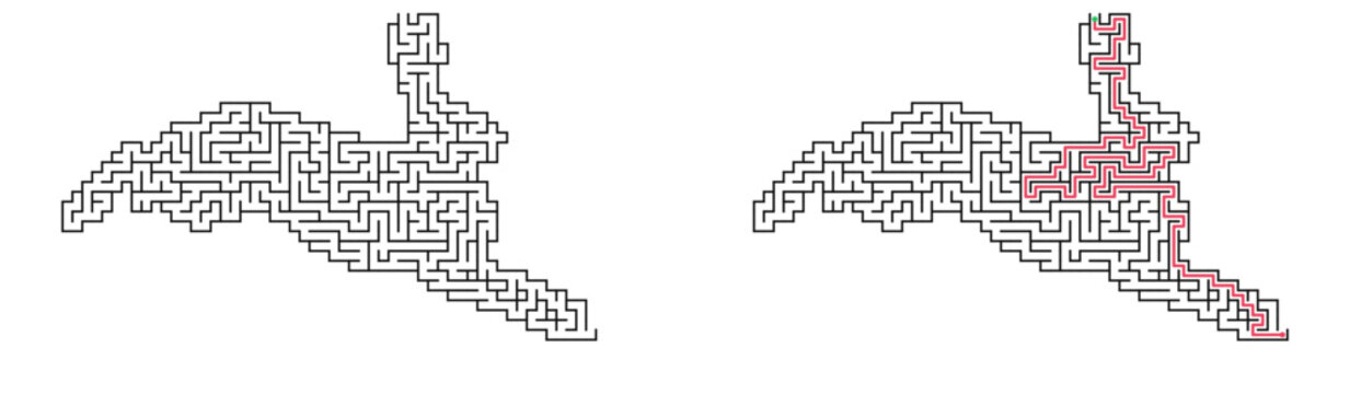 Bunny shaped maze with solution. Black and white flat vector labyrinth, simple puzzle activity for children