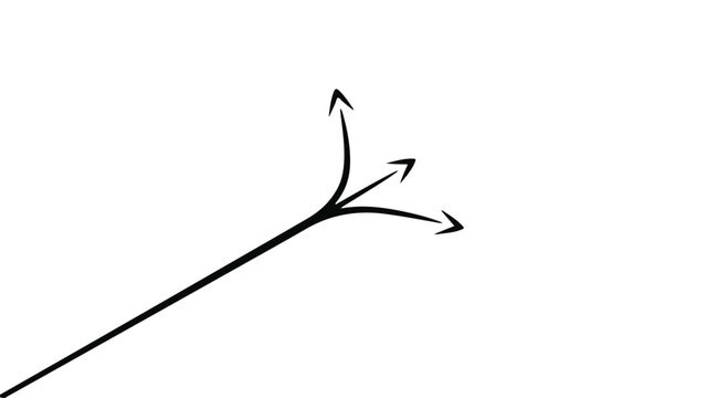 black arrows diverging from single line