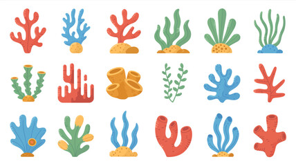 Coral reef illustration with various colorful sea plants on a white background seaweed marine life ocean flora underwater aquatic vegetation vector © Iconhub