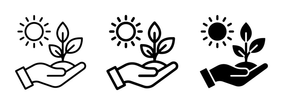 Hand holding seedling with sun, growth and nature icons, eco-friendly concept, set of 3 graphic resources