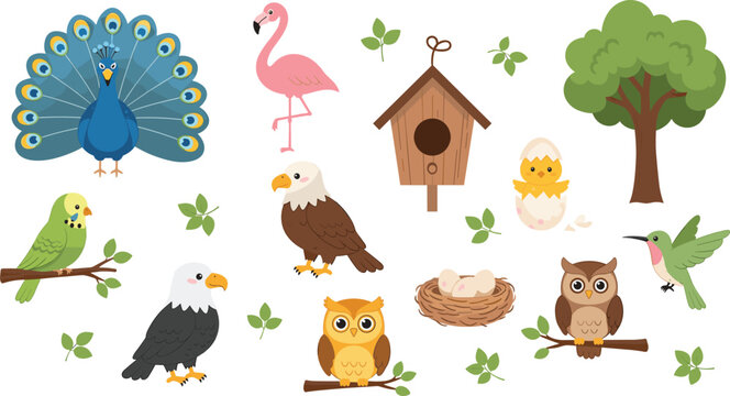 Cute Bird Species Vector Element Set with Cartoon Peacock Flamingo Eagle Owl Hummingbird Birdhouse and Nest for Kids Nature Educational Designs