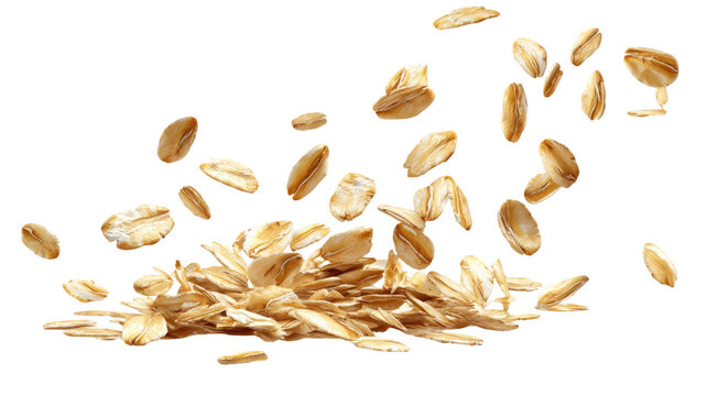 flying oat grains isolated on white background natural cereal seeds texture healthy organic agriculture food concept 