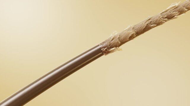 Macro 3D animation of damaged hair transforming into smooth healthy strands. Visualizes cuticle repair, deep nourishment and shiny hair care treatment for cosmetic advertising.
