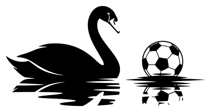Swan swimming next to a soccer ball with water reflections in black and white