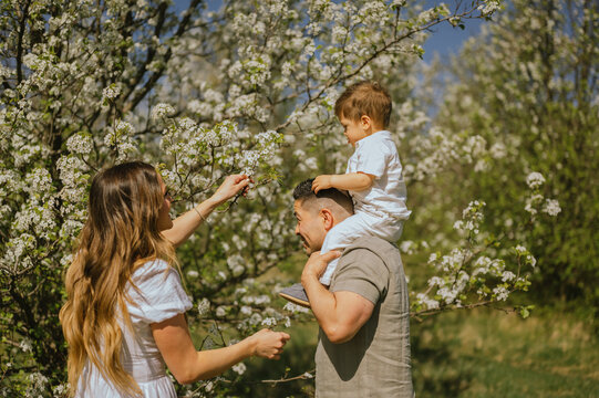 Child on dad's shoulder while mom shows him flowers on tree