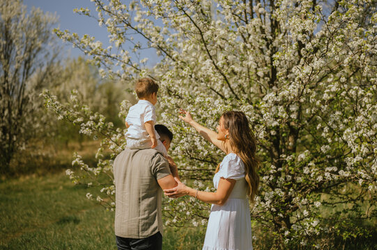 Parents showing toddler blooming flowers in spring orchard