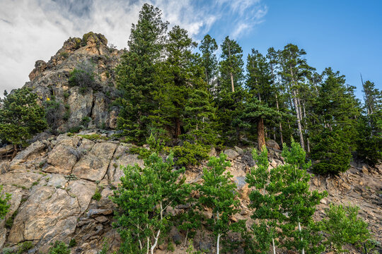 Scenic Rocky Mountain Landscape with Evergreen Hillside in Rocky