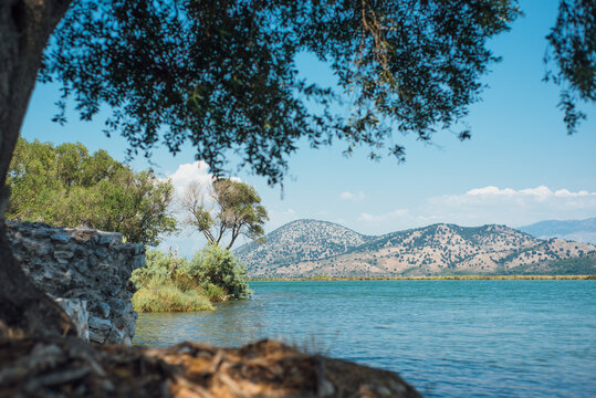 Serene lake and mountains view from under a tree