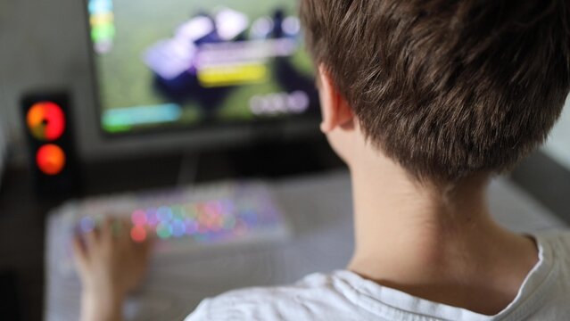Teenage boy playing a computer game, rear view. Lifestyle, a gamer guy at the computer.