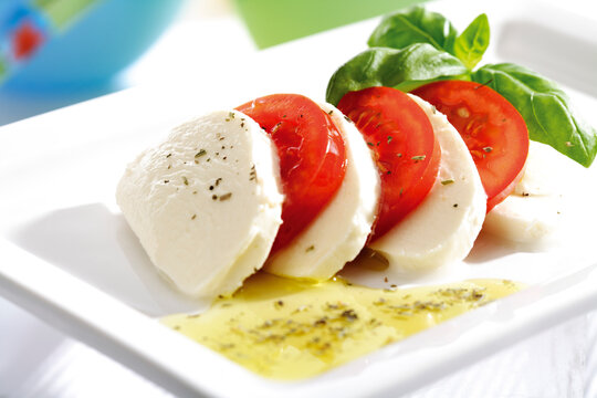 Mozzarella cheese with tomatoes and basil