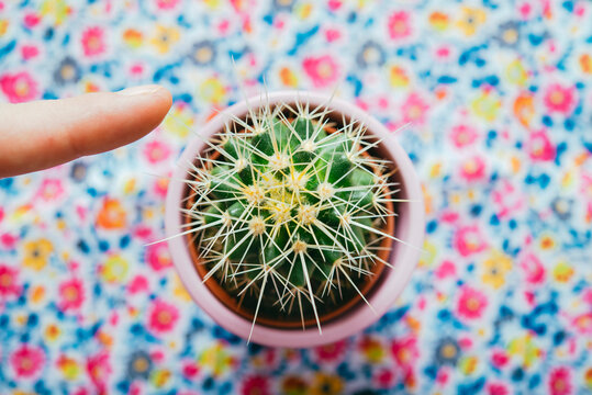 Finger touching the spike of a cactus in front of floral background