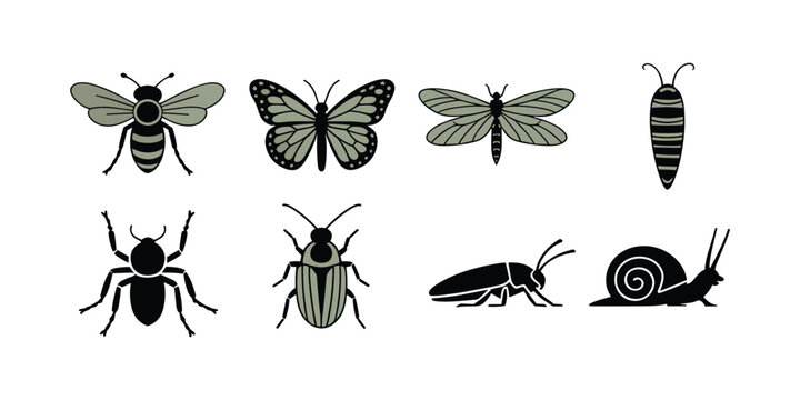 Black and green insect silhouettes on white background insects