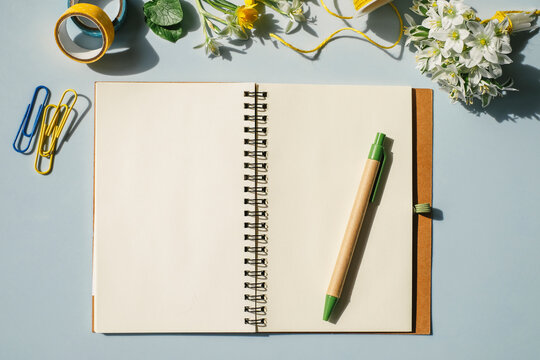 Notebook, office supplies and spring flowers on light blue background