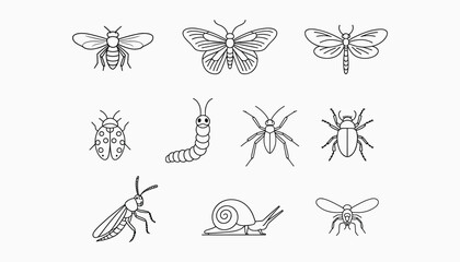 Black and white line of various insects and a snail line black and white butterfly vector illustration isolated on white background © MRSPEARA
