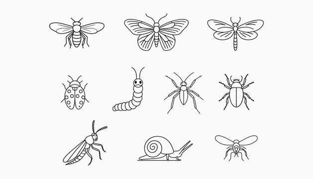 Black and white line of various insects and a snail line black and white butterfly vector illustration isolated on white background