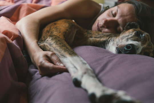 Woman lying in bed with her dog
