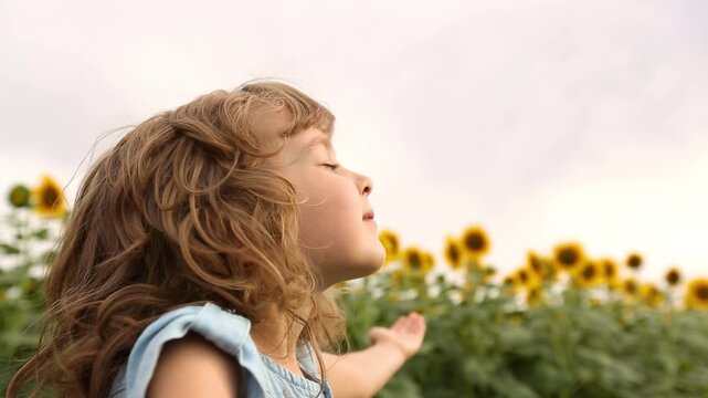 A little girl enjoys the sun in a field of sunflowers. Slow motion