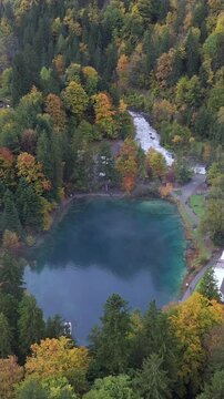 Vertical Aerial View of Blausee Lake Switzerland