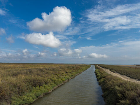 Typical landscape in the Camargue near Saintes-Maries-de-la-Mer, France.