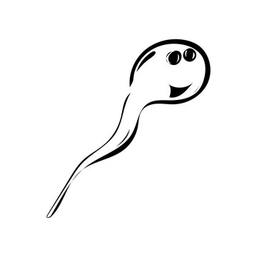 Spermien
