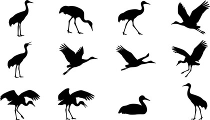 Naklejka premium Crane bird silhouette icon set, flat black glyph style, pure white background