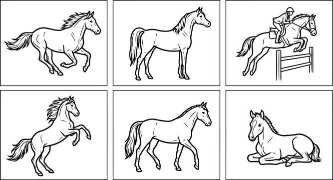 Collection of various horse poses and actions in black and white line art