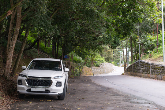 A white car parked under shade of huge tree in an empty park.