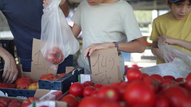 People buying fresh organic red tomatoes at a local outdoor farmers market, choosing healthy vegetables and putting them in a bag while grocery shopping for produce at a bazaar