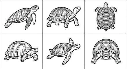 Black and white illustration of various turtle poses and views © Moriom