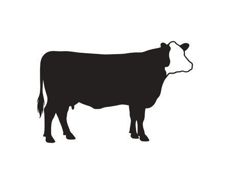 Black silhouette of a holstein cow standing on white background