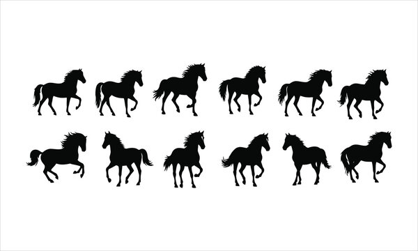 Silhouettes of ten horses in different poses and gaits with black and white, animal silhouette