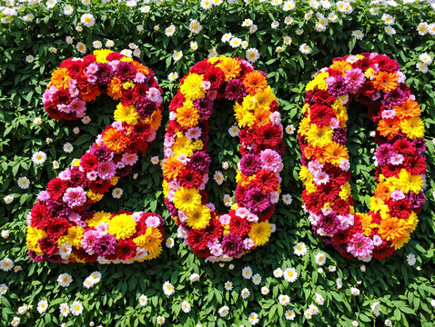 number 200 made from flowers