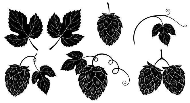Black hop cones and leaves, beer brewing ingredients, vector illustration