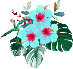 Bouquet of tropical flowers. Hibiscus, paradise flowers. exotic, tropical © Alaska_artworks