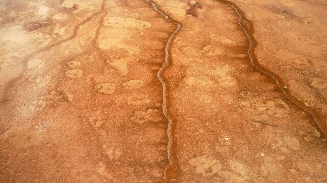 Close up Grand Prismatic Spring hot springs mineral terraces layers Midway Boardwalk Fairy Falls trail Mid Geyser Basin Wyoming USA Yellowstone National Park nature landscape sunny morning pan left