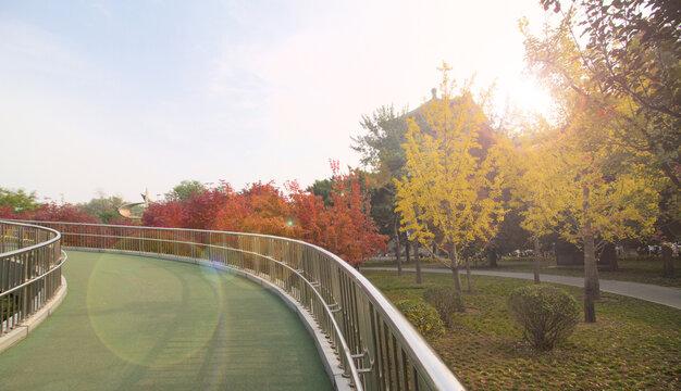 Overpass in autumn.