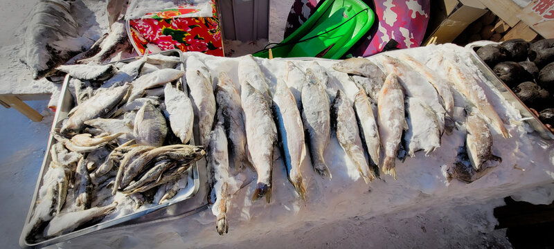 Frozen fishs