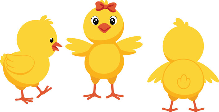 Cute cartoon baby chick character turn, chicken model sheet vector illustration isolated on white background