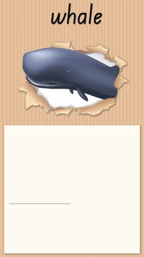 Educational Alphabet Animation Teaching the Letter W with a Whale Illustration