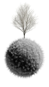 Monochrome Mini Furry Planet with Delicate Bare Tree