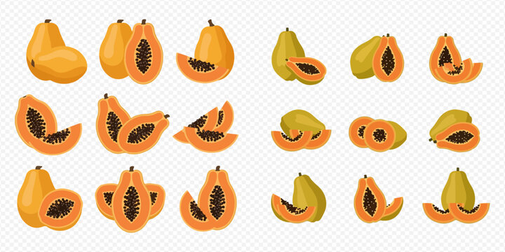 Set of fresh whole and sliced papaya fruits, healthy tropical fruit collection on white background.