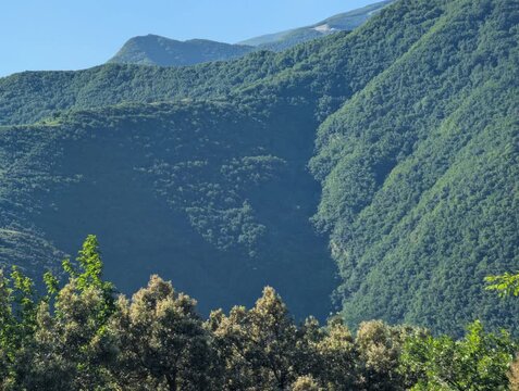 Montagne verdi ricoperte da foresta fitta sotto cielo limpido. Atmosfera naturale, ampia e luminosa