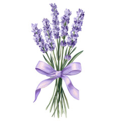 Fototapeta premium Lavender bouquet, purple flowers, floral arrangement, gift bouquet isolated PNG with Transparent Background