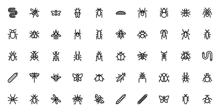 Insects_1703 icon set. Minimal line icon pack. Includes symbols for worm, mosquito, moth, beetle, butterfly, dragonfly, caterpillar, spider, bee, ant and more. Editable vector stroke.