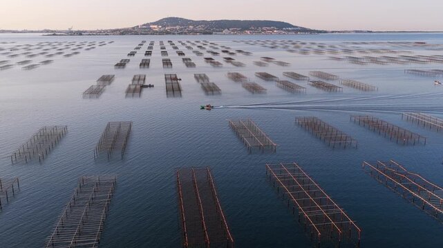 Oyster boat at sunrise on the Thau lagoon, Occitanie, France