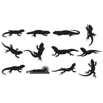 Black lizard silhouettes, reptile icons, lizard set, animal graphics