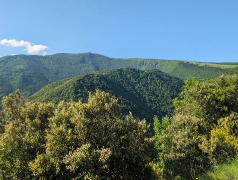 Montagne verdi ricoperte da vegetazione fitta sotto cielo limpido. Atmosfera naturale, luminosa e rilassante