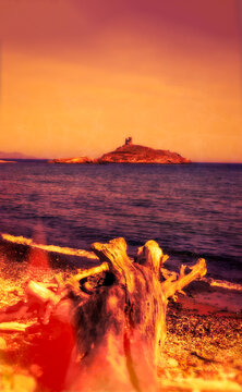 Corsica, France, Europe: graphic reworking in burned negative style of a tree trunk on Plage des Iles (Beach of the Islands) with view of the nature reserve of les Iles Finocchiarola